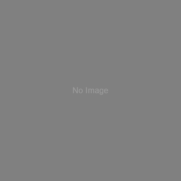 test door golden oak supply only